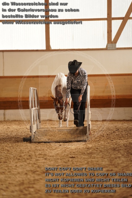 s_A_901170.JPG